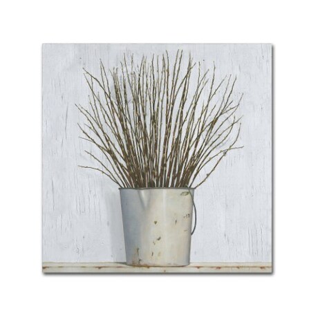 Trademark Fine Art James Wiens 'Early Spring' Canvas Art, 14x14 WAP01718-C1414GG